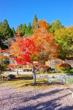 20171030茶臼山高原-2