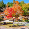 20171030茶臼山高原-2