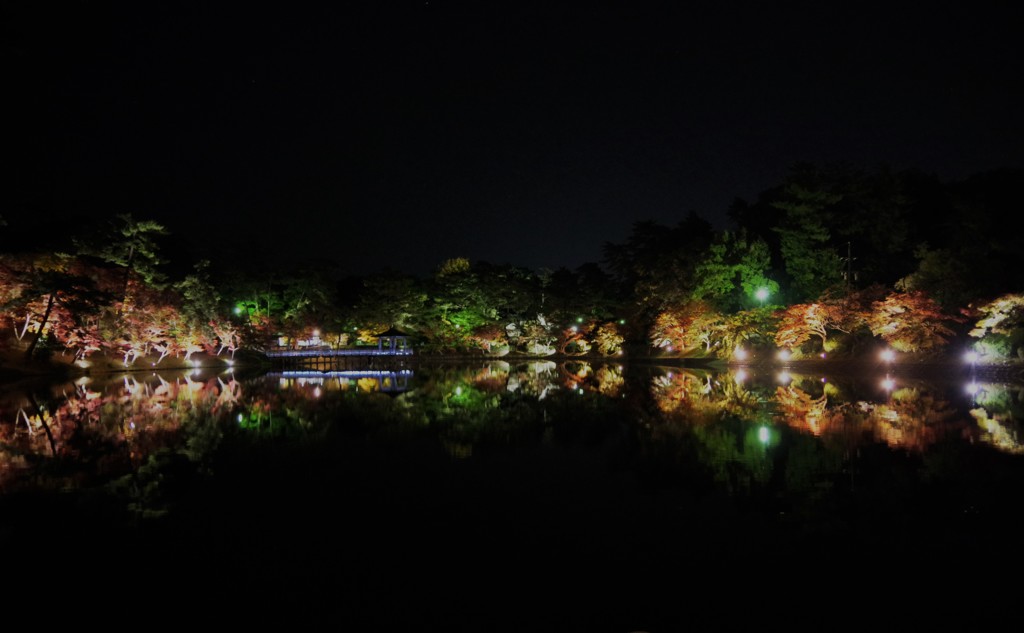 20171121東岡崎公園-8