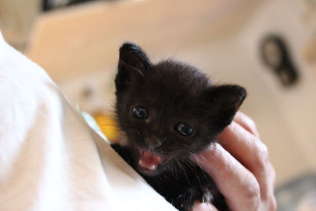 4A1133FA-2FB6-4BF0-B860-F7A9CDA96F55