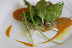 ECEBC99A-5413-4114-AD5E-A92F15CD5666