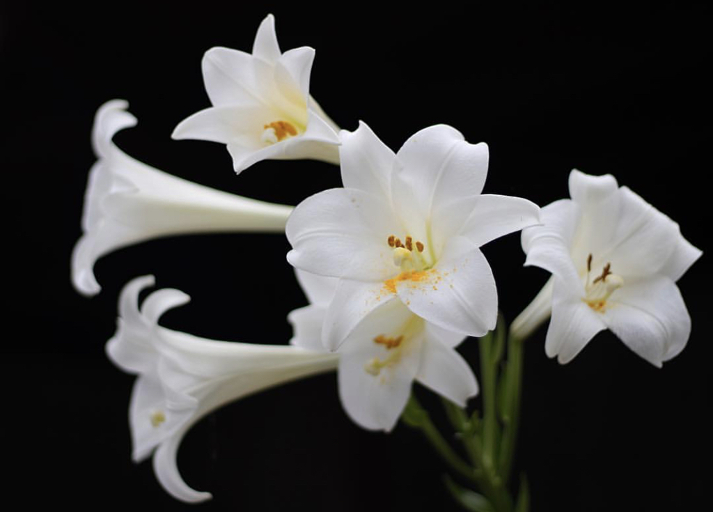 28B1EA2B-19C3-4E1C-B008-DF15958DE992