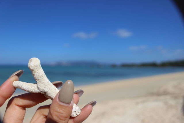 6C877BC1-7634-45FF-8A24-B0242C61EE04