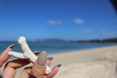 6C877BC1-7634-45FF-8A24-B0242C61EE04