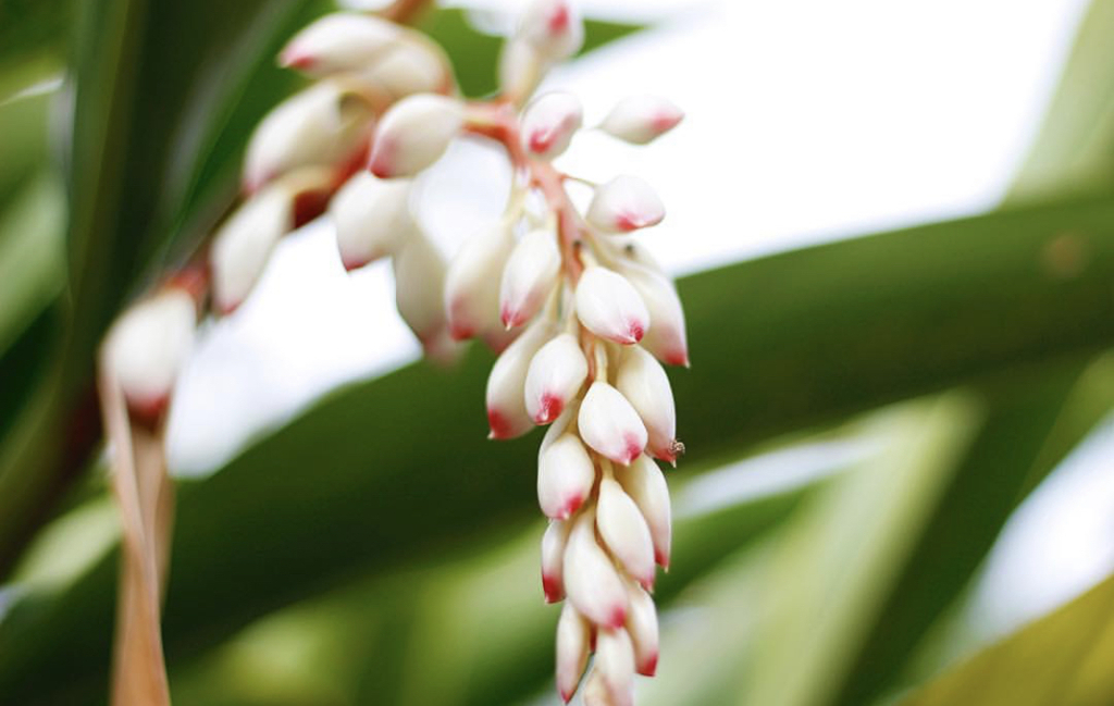 9E31D1FA-B296-4467-83AF-84D0E59B7F83