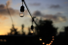 9F5C34DE-8E13-4714-A157-FF0769F46147