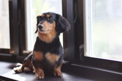 5E07C521-0D7D-4A5C-907C-255CEDDB5A92