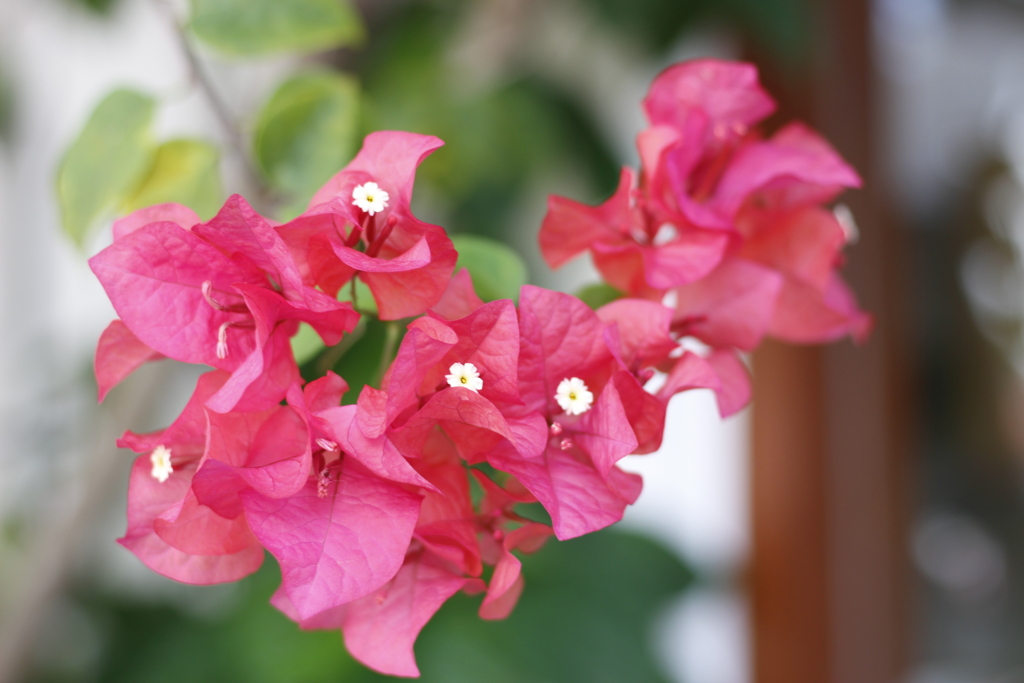 082122DE-DE35-4DE2-9FA9-E6CF25C4BE77