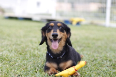 4AABD3BA-E601-4341-8ED2-A03AFE12F188