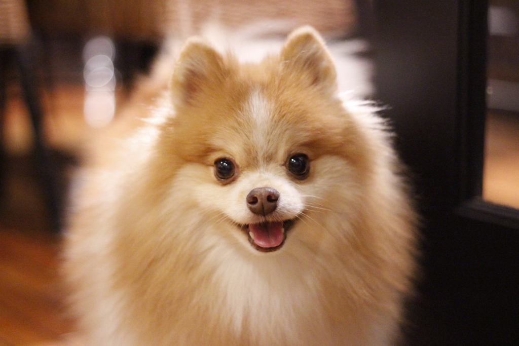 1CA76ADE-8E7B-49EC-B8A8-27AB672CEBE2