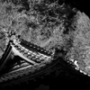 京都・寺院01