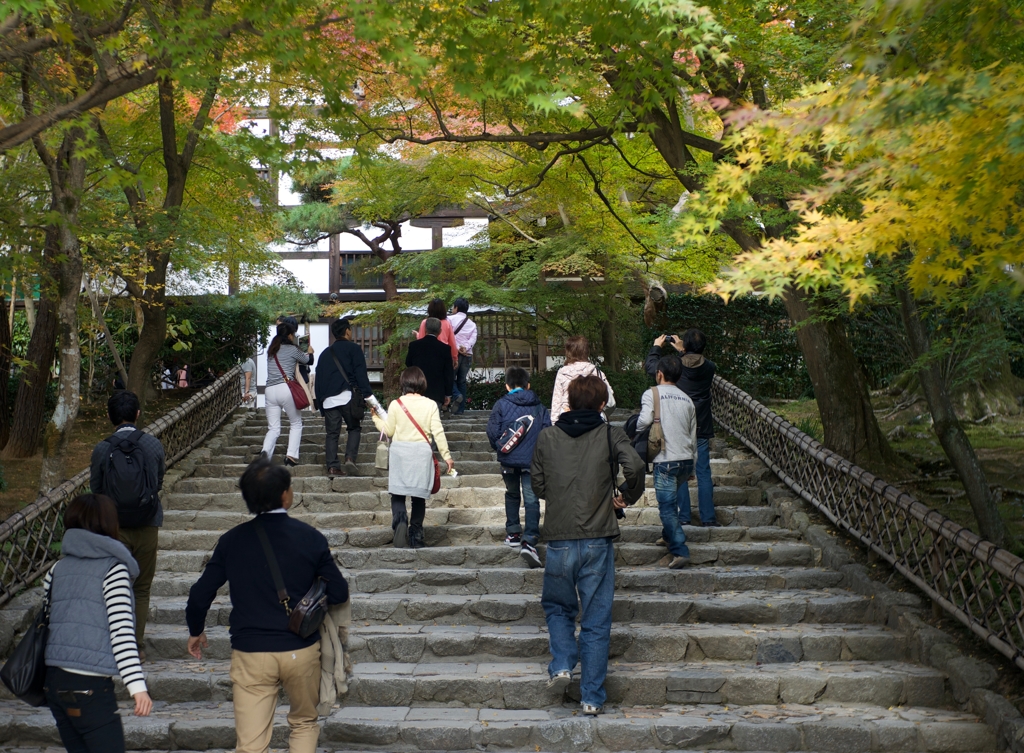 京都・紅葉05