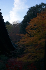 京都・紅葉09