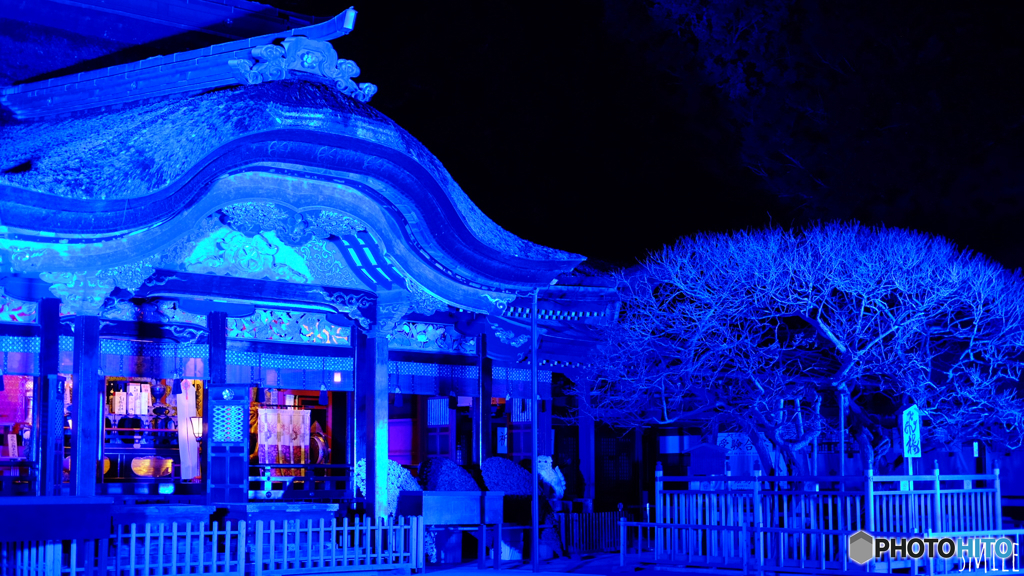 青い太宰府天満宮