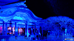 青い太宰府天満宮