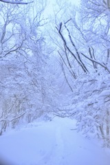 ありがとう、山の神様