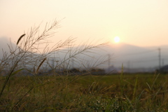 いつもの通勤路　朝日