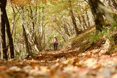 由布岳、山道