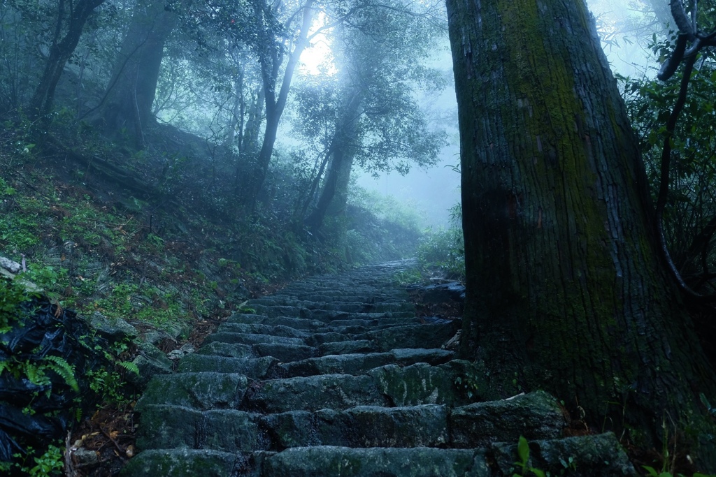 雨の百段がんぎ　宝満山