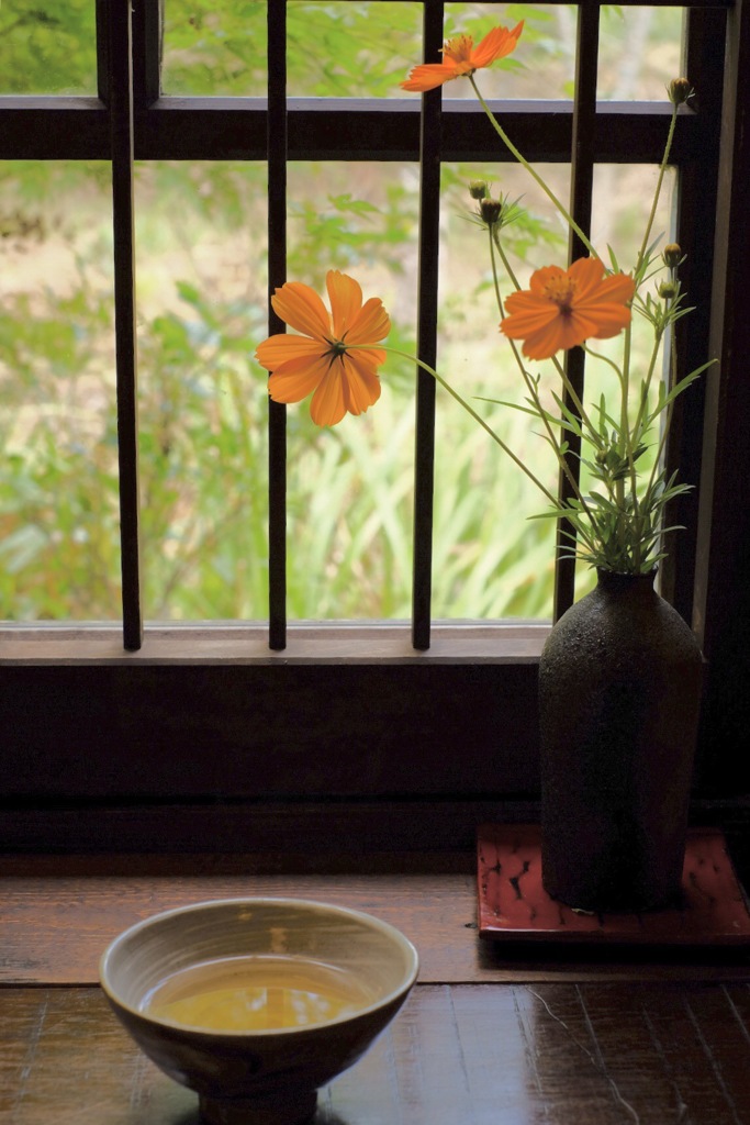 夏  冷茶で小休憩