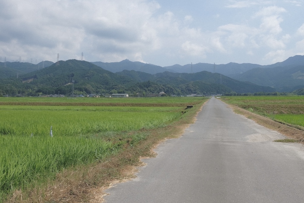 のどかな風景　