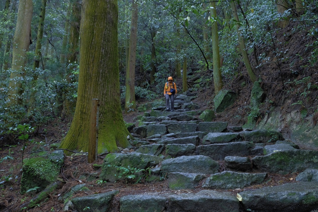 雨の宝満山山道