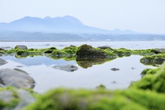 有明海と平成新山