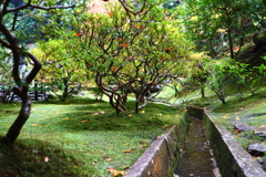 目線