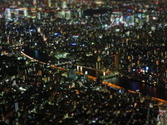 東京