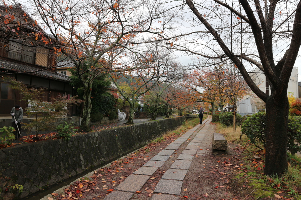 哲学