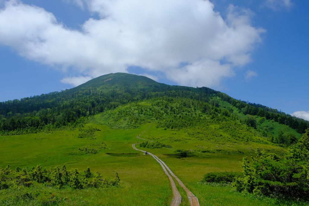 尾瀬・燧ヶ岳