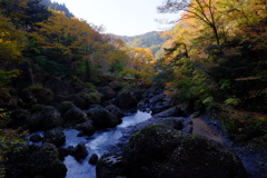 DSCF6029