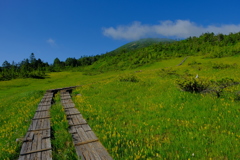 尾瀬・燧ヶ岳2