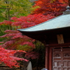 雨降山・大山寺3