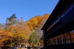 DSCF5706