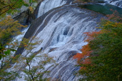 DSCF6014