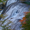 DSCF6014