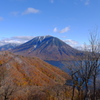 DSCF5553