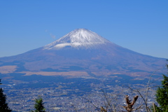 DSCF6306