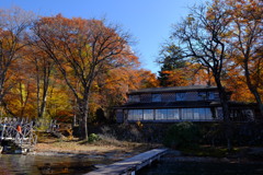DSCF5685
