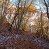DSCF5520