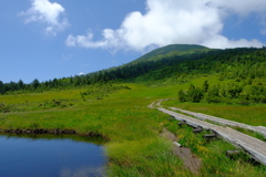 燧ヶ岳・熊沢田代2