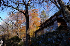 DSCF5673