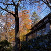 DSCF5673