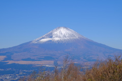 DSCF6215
