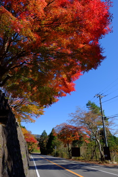 DSCF6333