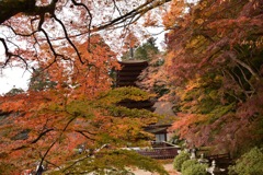 談山神社