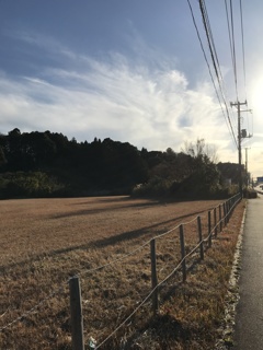 久しぶりのサイクリング