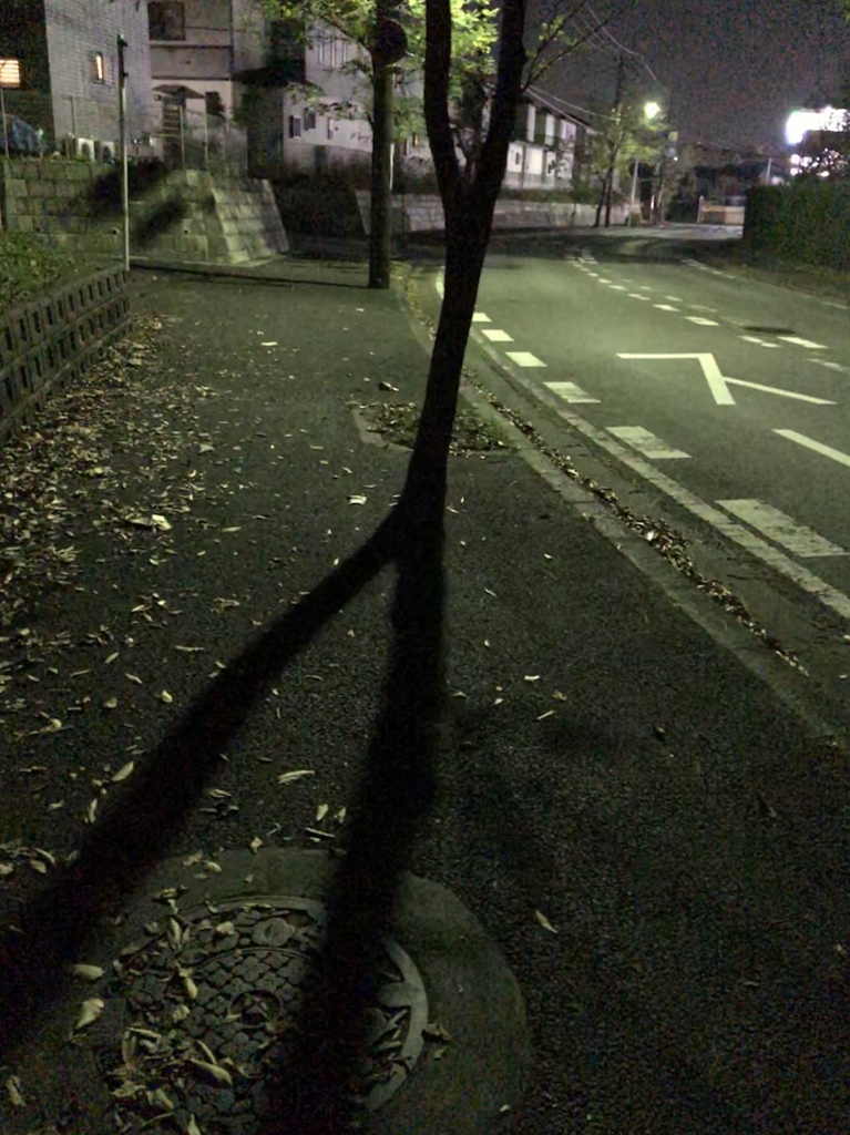 影
