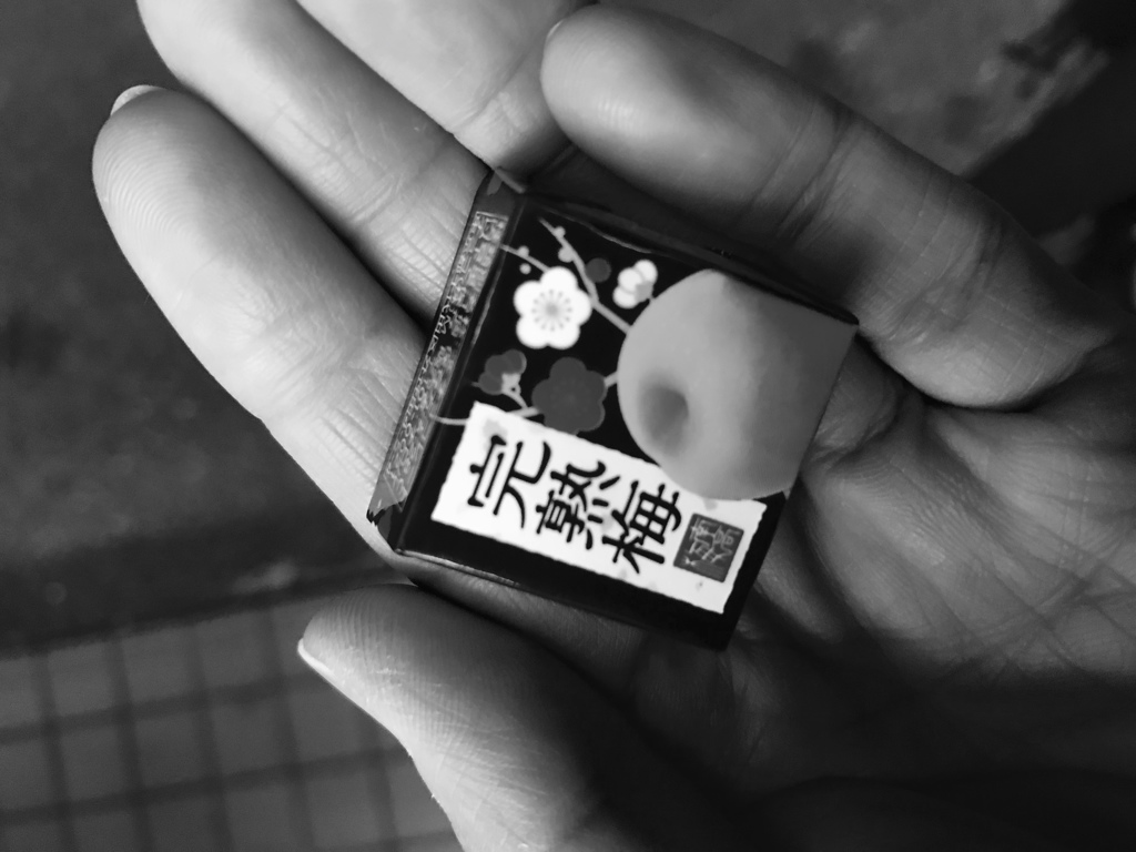 コンビニ入ると探してます(o^^o)